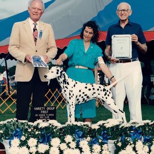 Meet your Posher, Teresa